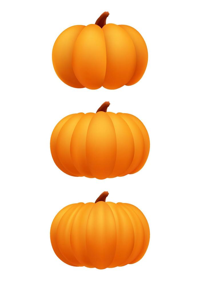 Conjunto de calabaza naranja realista aislado sobre fondo blanco. Ilustración de vector de colección de calabazas 3d maduras. Halloween vegetal de otoño moderno o símbolo y decoración de acción de gracias.
