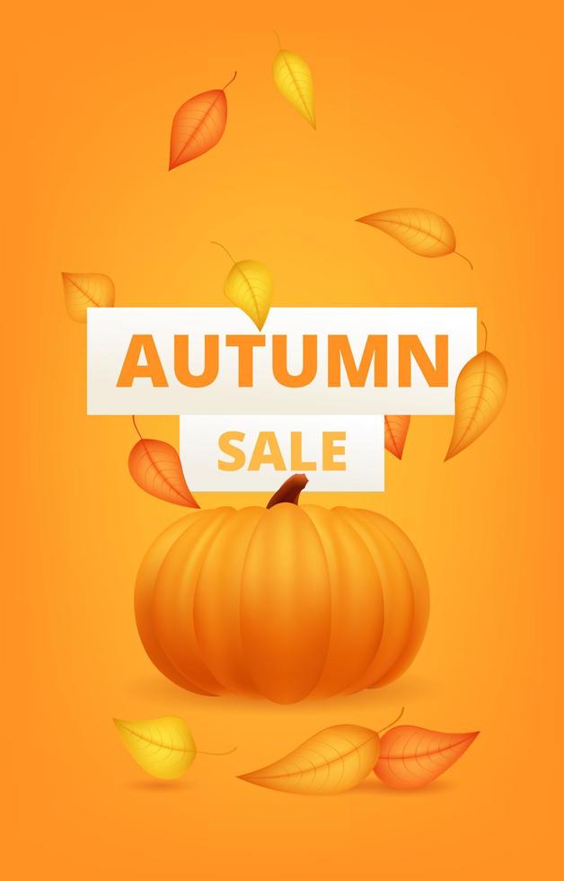Autumn sale banner template with pumpkin and leaf. Poster, card, label, web banner. Vector illustration Happy Thanksgiving composition with pumpkins, autumnal leaves. Discount for shop graphic design.