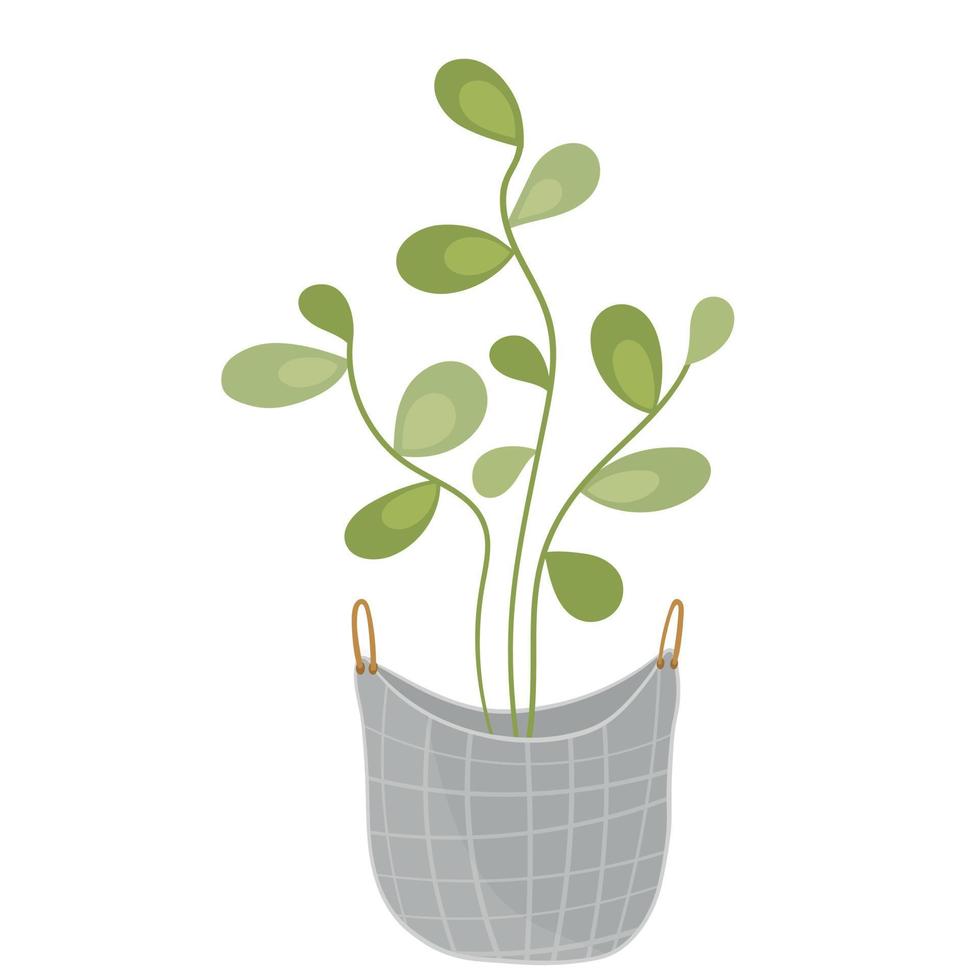 ilustración vectorial de la planta casera en bolsa escandinava sobre fondo blanco aislado vector