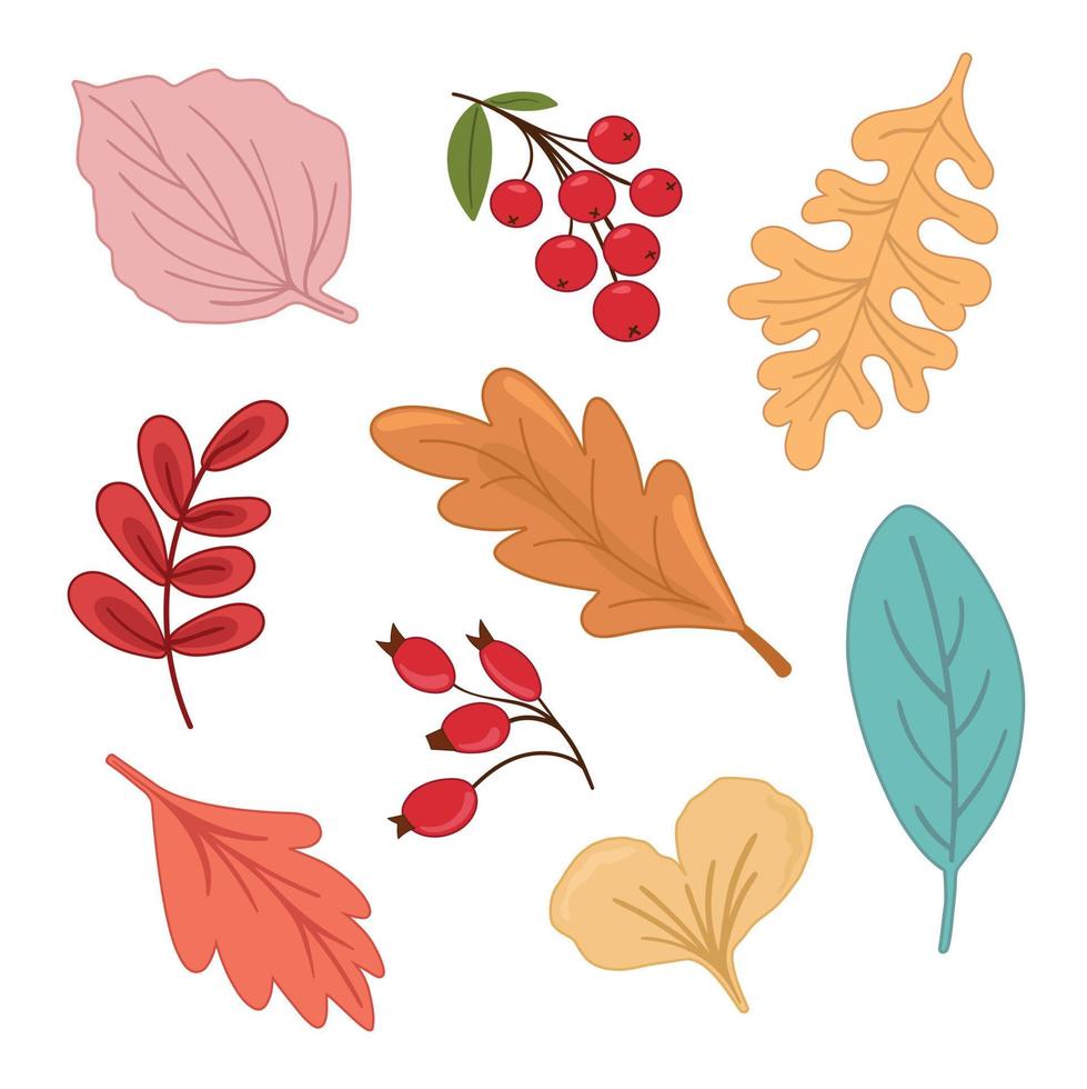 Vector illustration autumn set with leaves, viburnum, rose hip