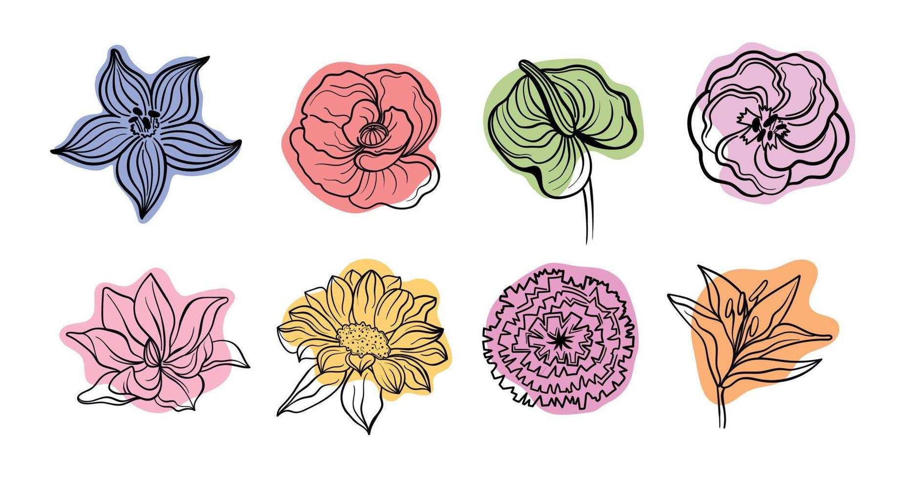 gráficos de ilustración negra de línea vectorial flores anthurium verde, eustoma, dianthus, clemátide, lirio, magnolia, girasol, manchas de colores de amapola. vector