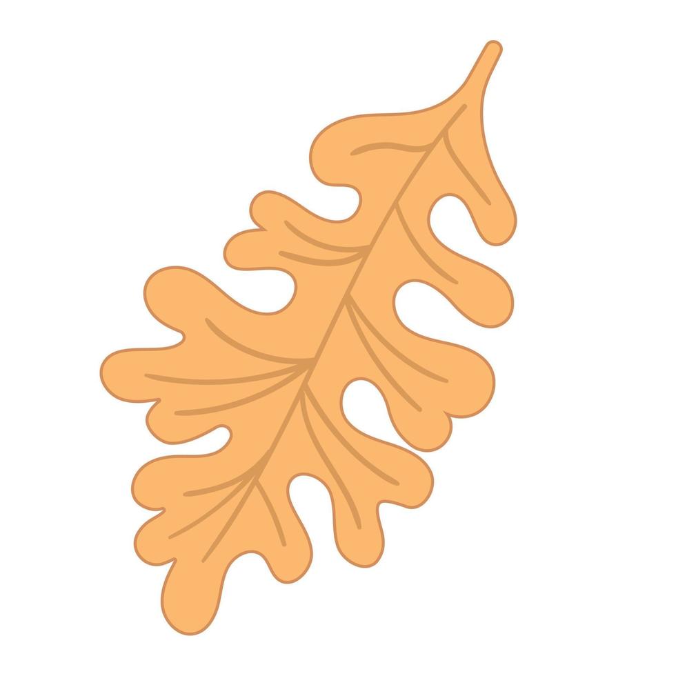 Vector illustration autumn brown oak leaf on white isolated background.