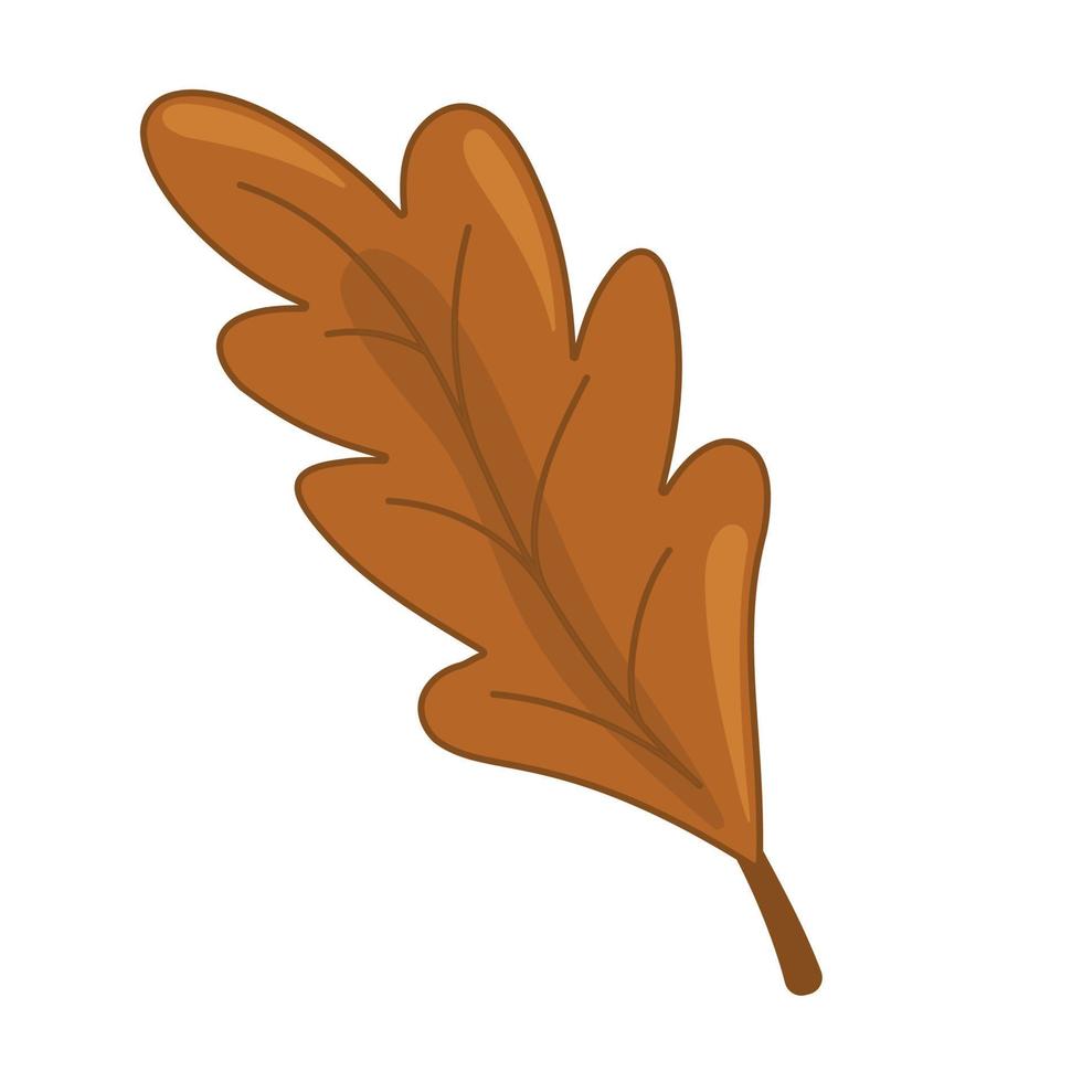 Vector illustration autumn brown oak leaf on white isolated background.