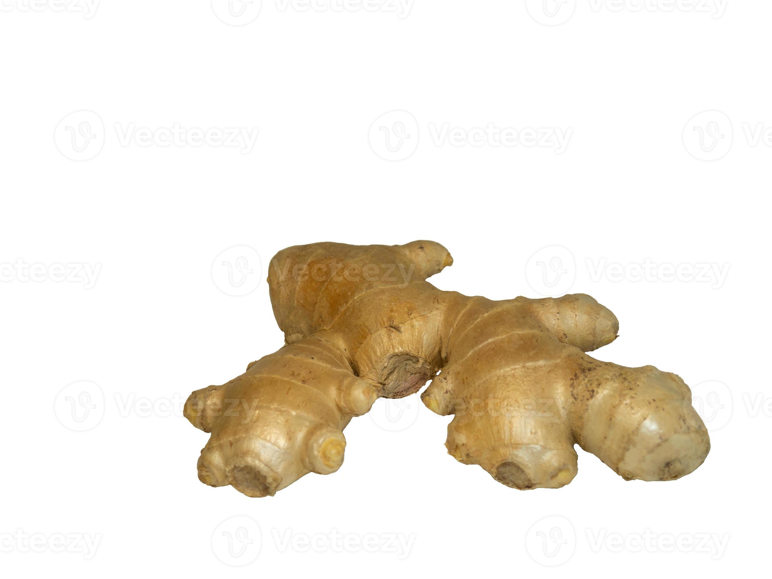 Ginger root. Ginger. 11361391 Stock Photo at Vecteezy