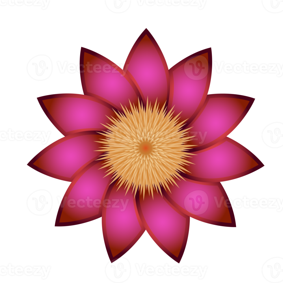 Colorful flower illustration png