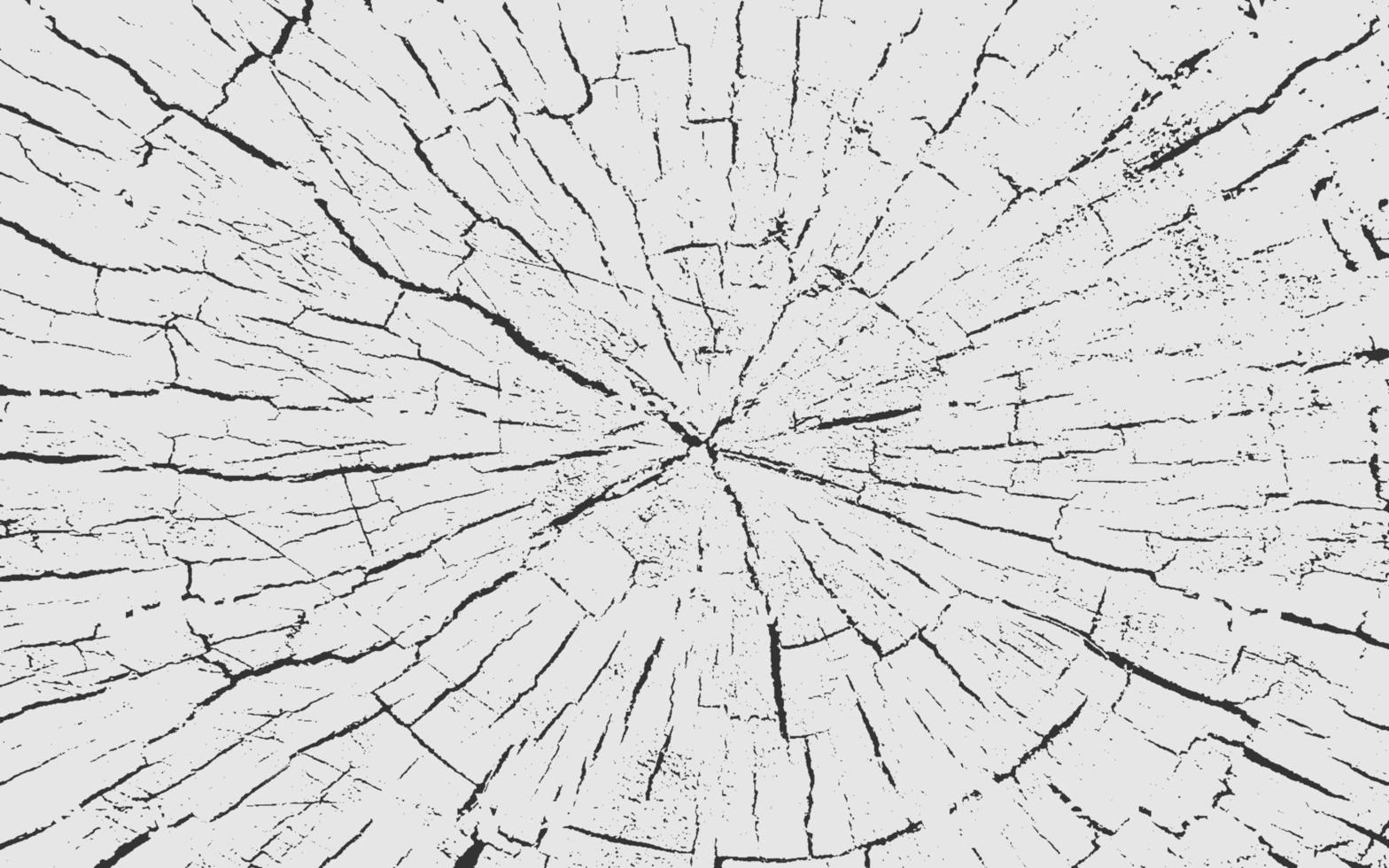 textura de madera tablones de madera blancos y negros patrón de superposición de textura grunge efecto de boceto motivo de grieta para el diseño pared piso rústico viejo áspero fondo abstracto ilustración vectorial vector