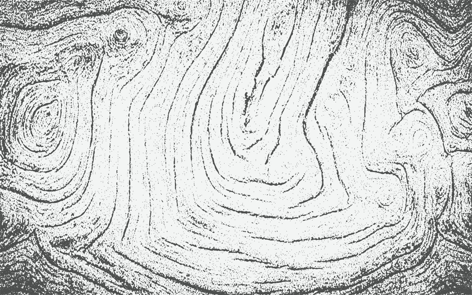 textura de madera tablones de madera blancos y negros patrón de superposición de textura grunge efecto de boceto motivo de grieta para el diseño pared piso rústico viejo áspero fondo abstracto ilustración vectorial vector