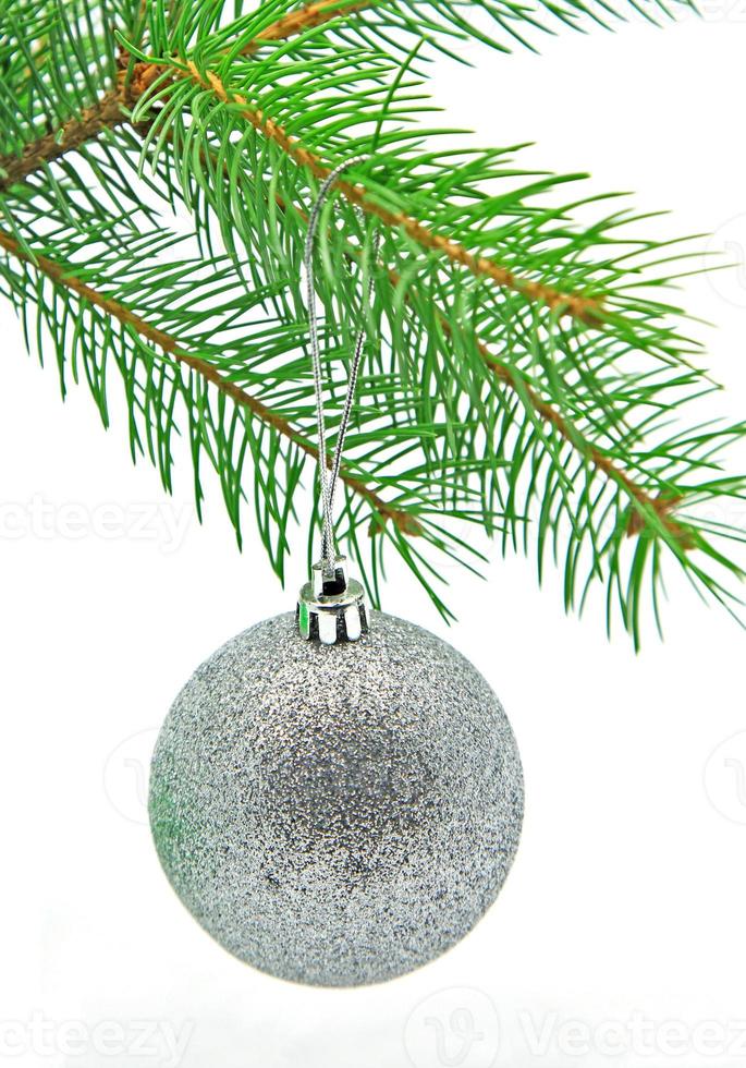 Silver christmas ball on christmas tree photo