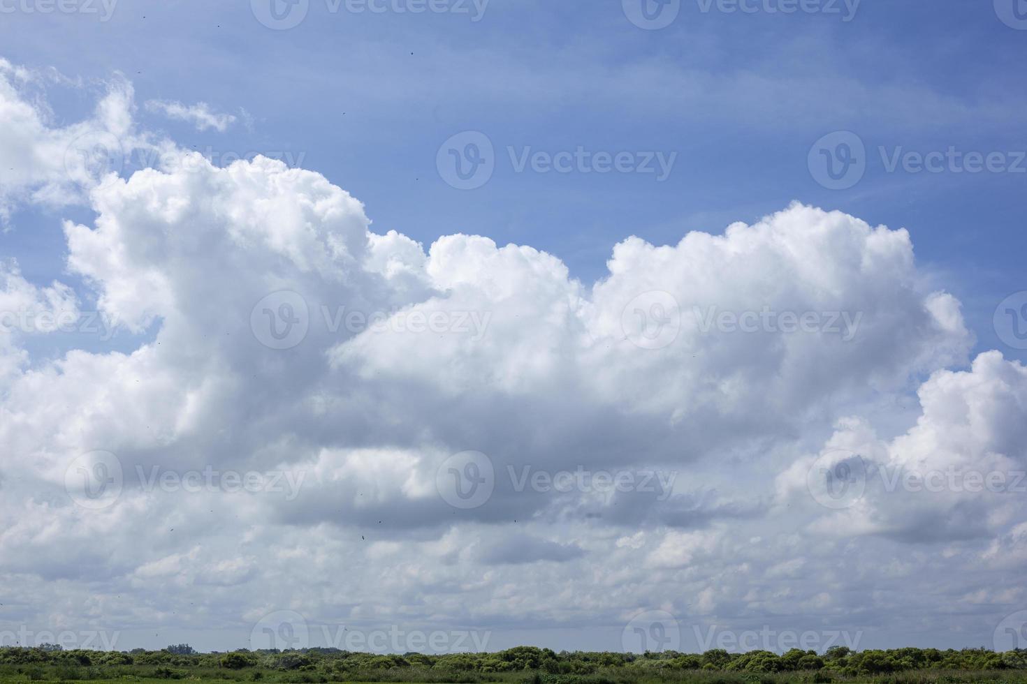 Huge clouds above a group of trees on a clear day. photo