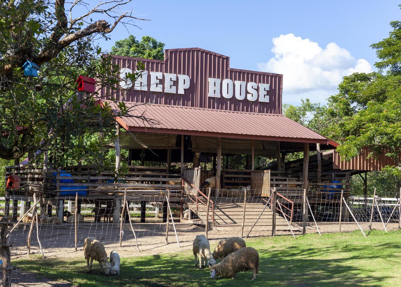 Sheep's house, where sheep are grazing in the garden with text SHEEP HOUSE. photo