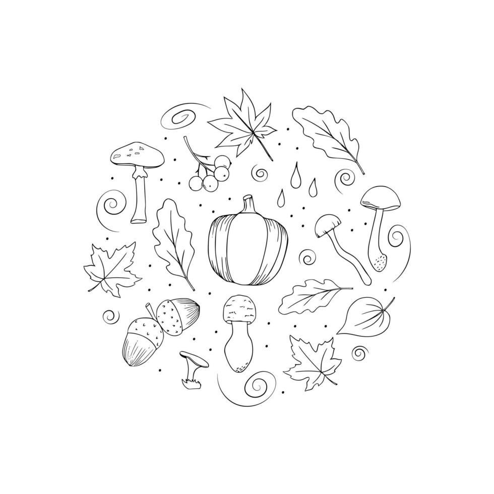 conjunto de garabatos de otoño de elementos vegetales. champiñones, hojas, bayas, calabaza, aislado en un fondo blanco. ilustración vectorial en blanco y negro vector