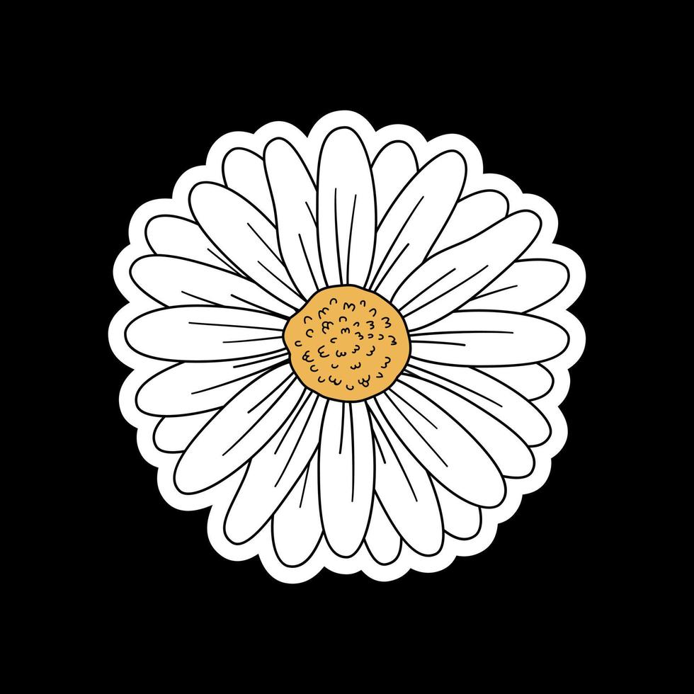 Vector of Daisy Flower