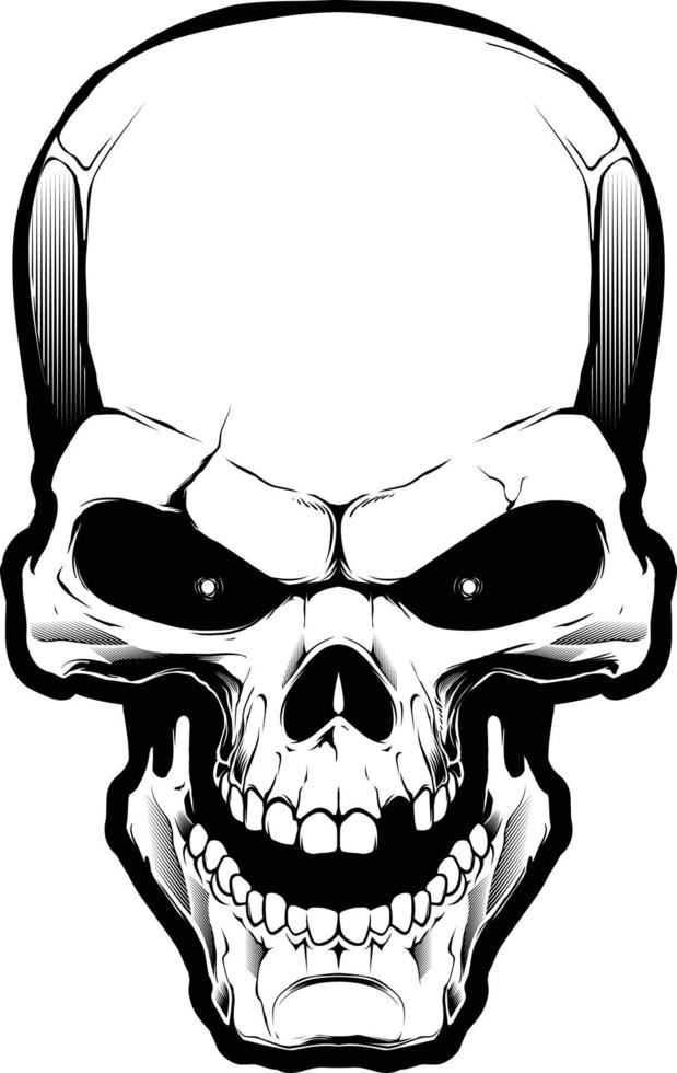 The image of the skull vector