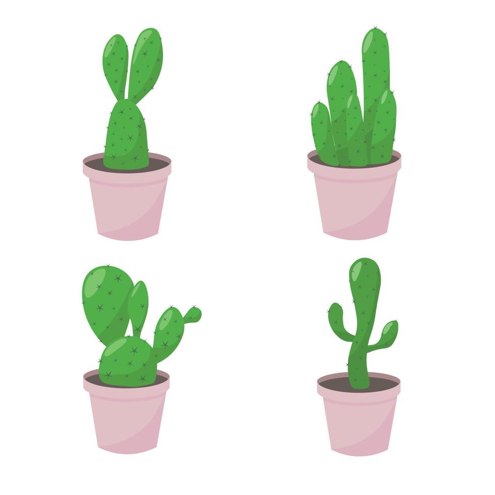 cactus in pots vector