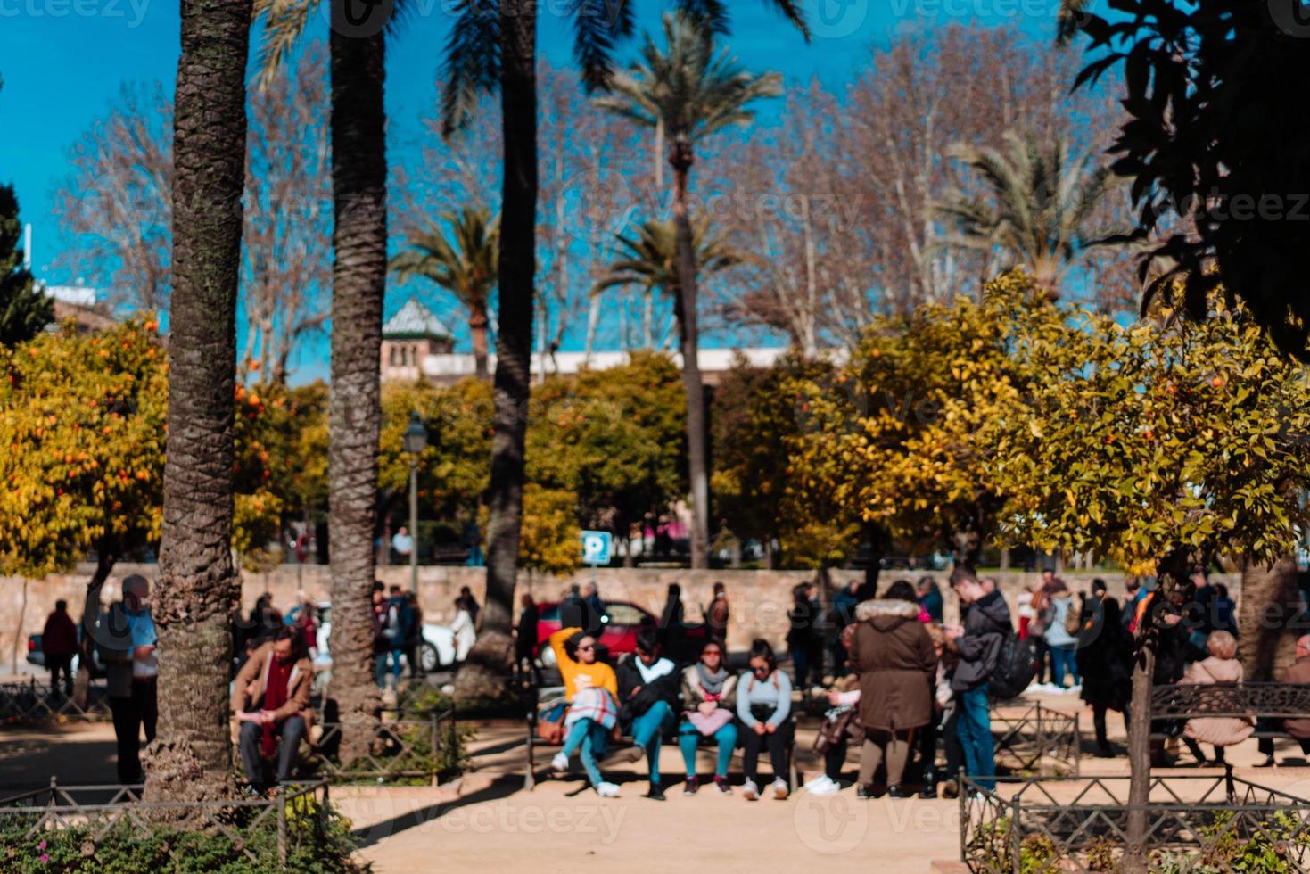 People are resting in the park photo