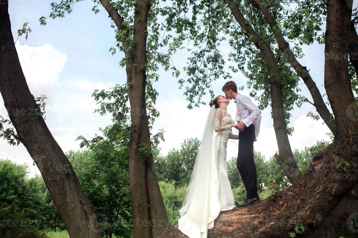 novia y novio en el árbol foto