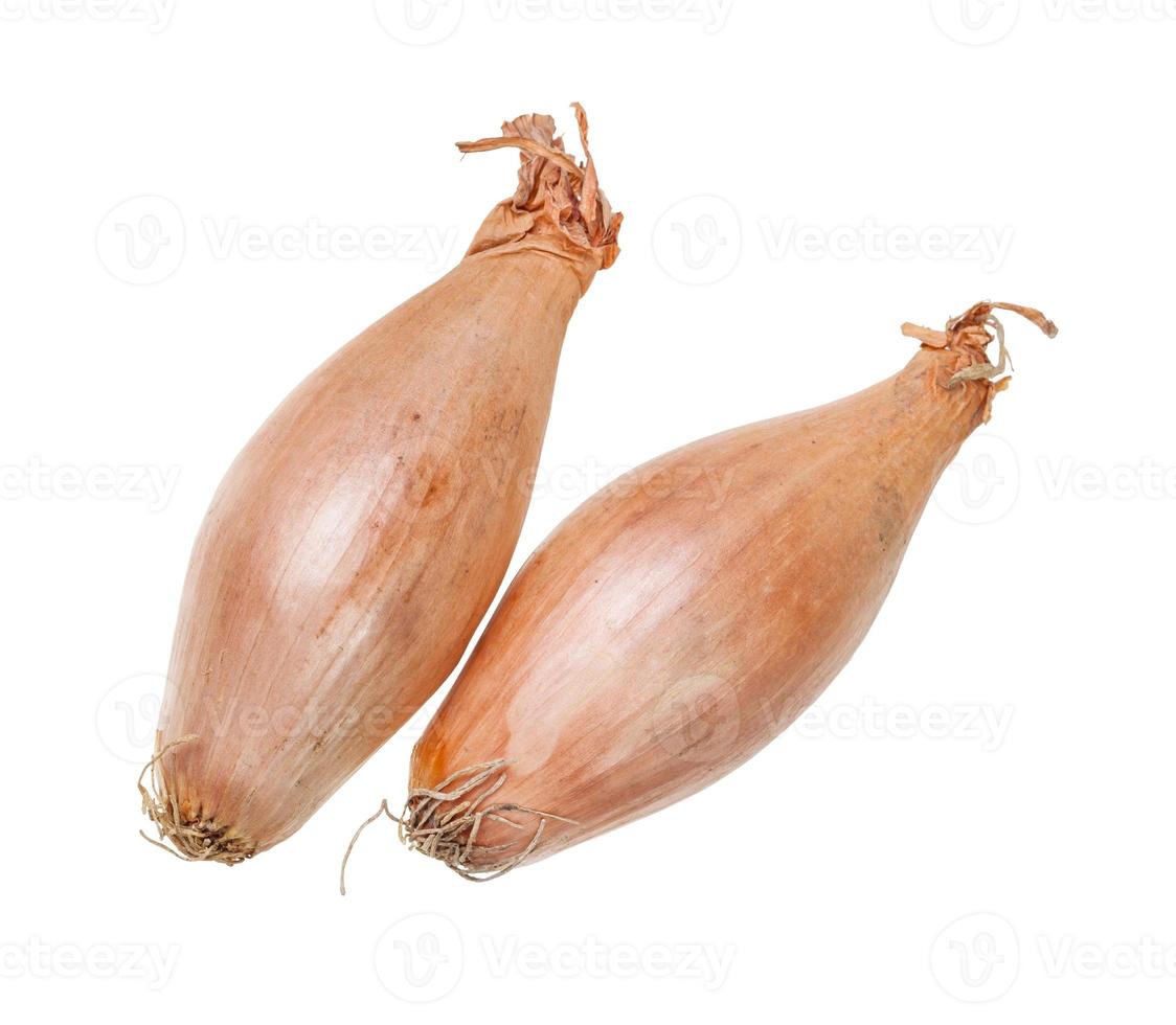 two bulbs of shallot onion isolated on white 11372338 Stock Photo at