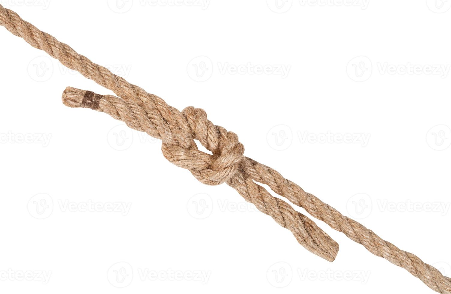 reef knot joining two ropes isolated on white photo