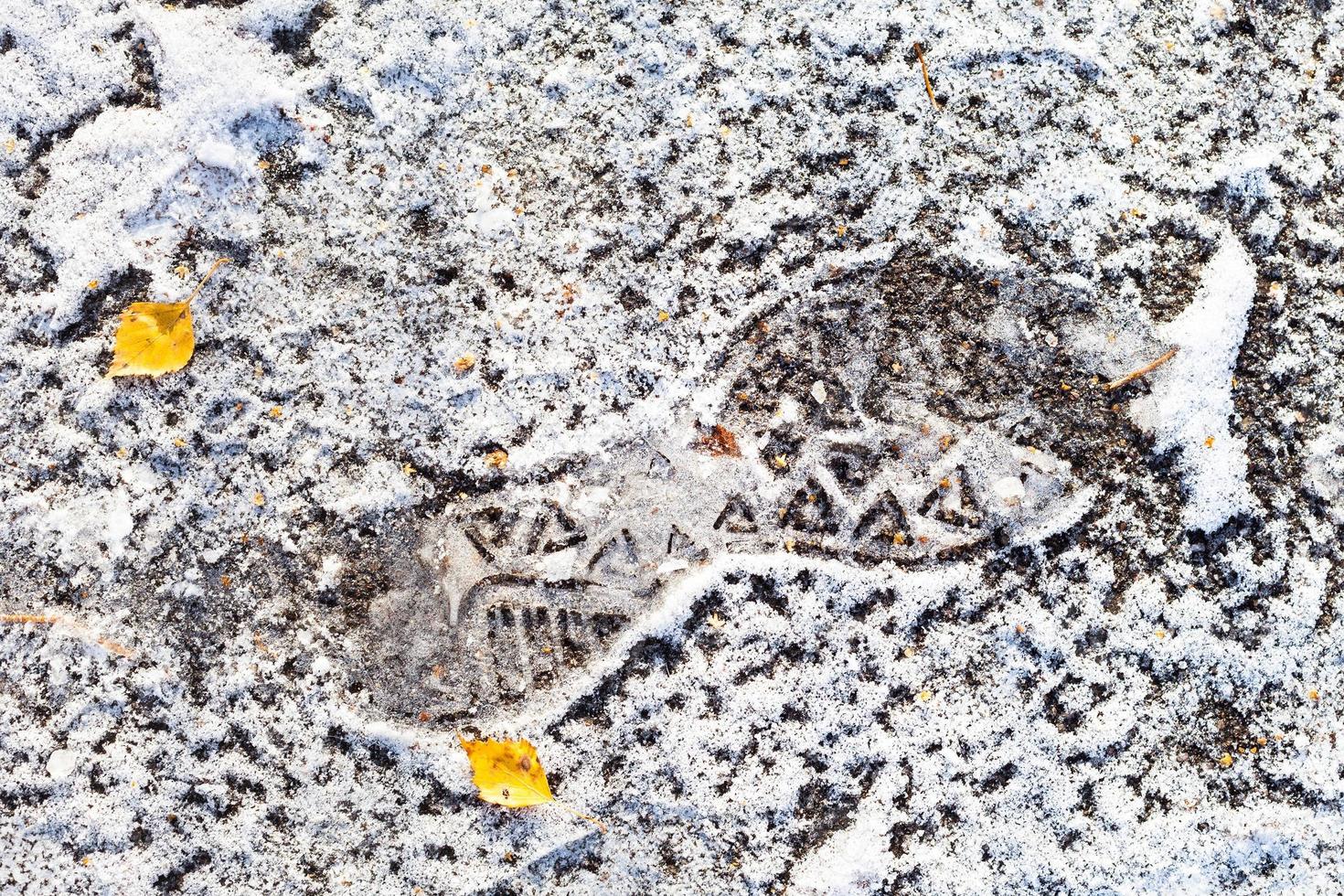 top view of frozen footprint on road in autumn photo