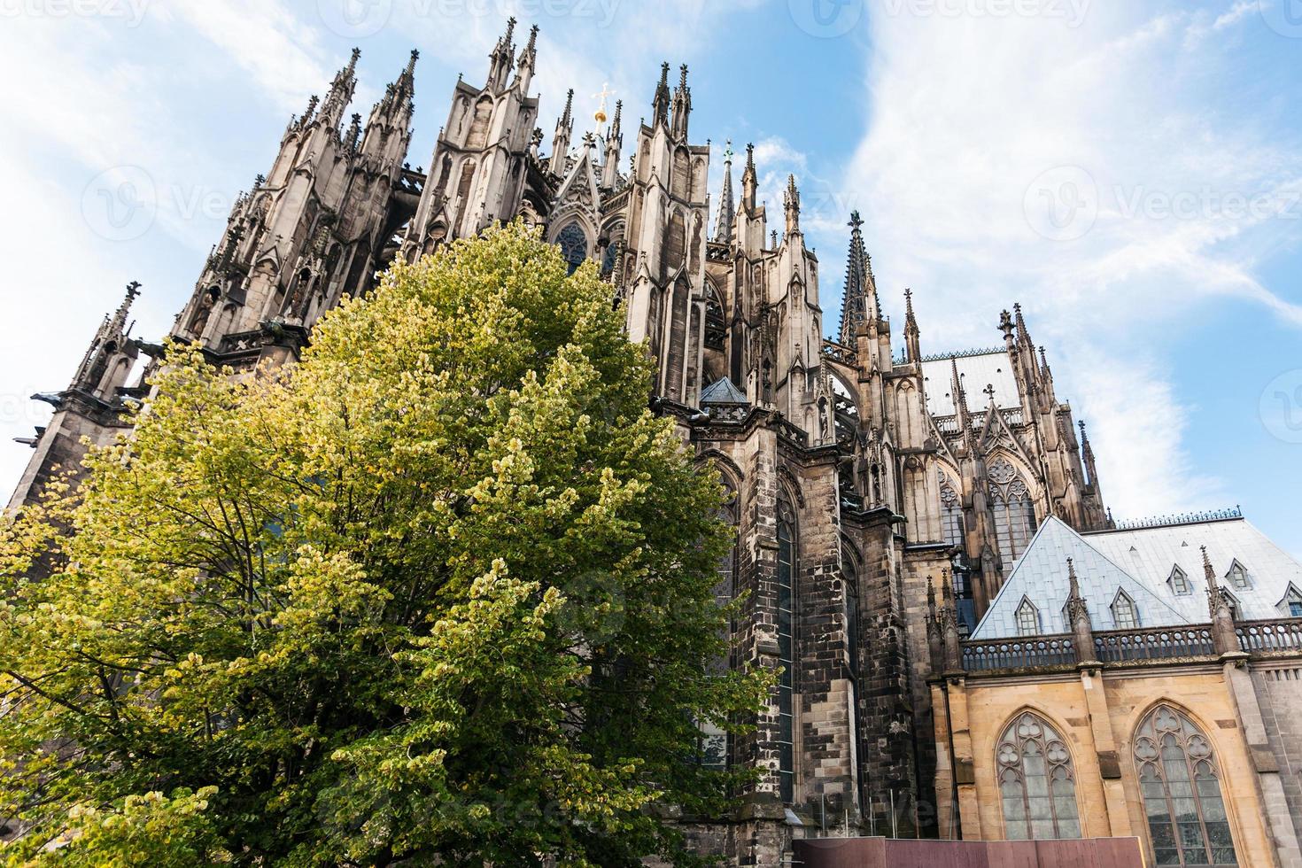 árbol verde y catedral de colonia en septiembre foto