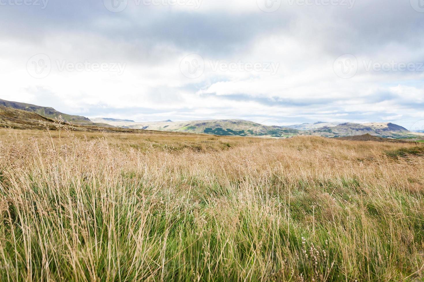 pasture land near Skeggjastadir farm in Iceland photo