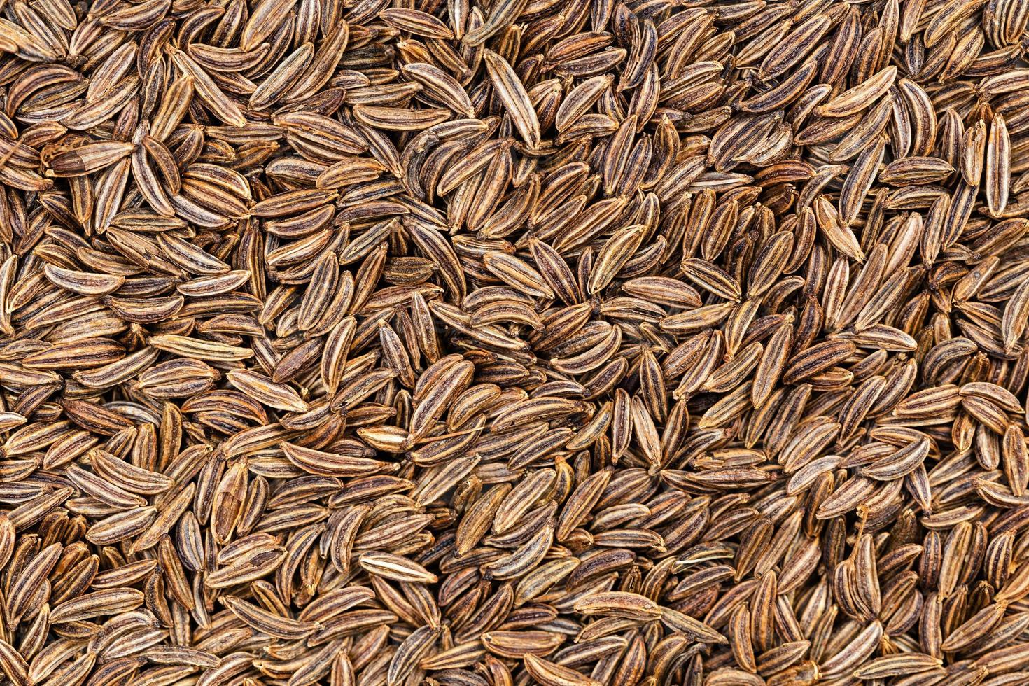 background - many dried caraway seeds 11372543 Stock Photo at Vecteezy