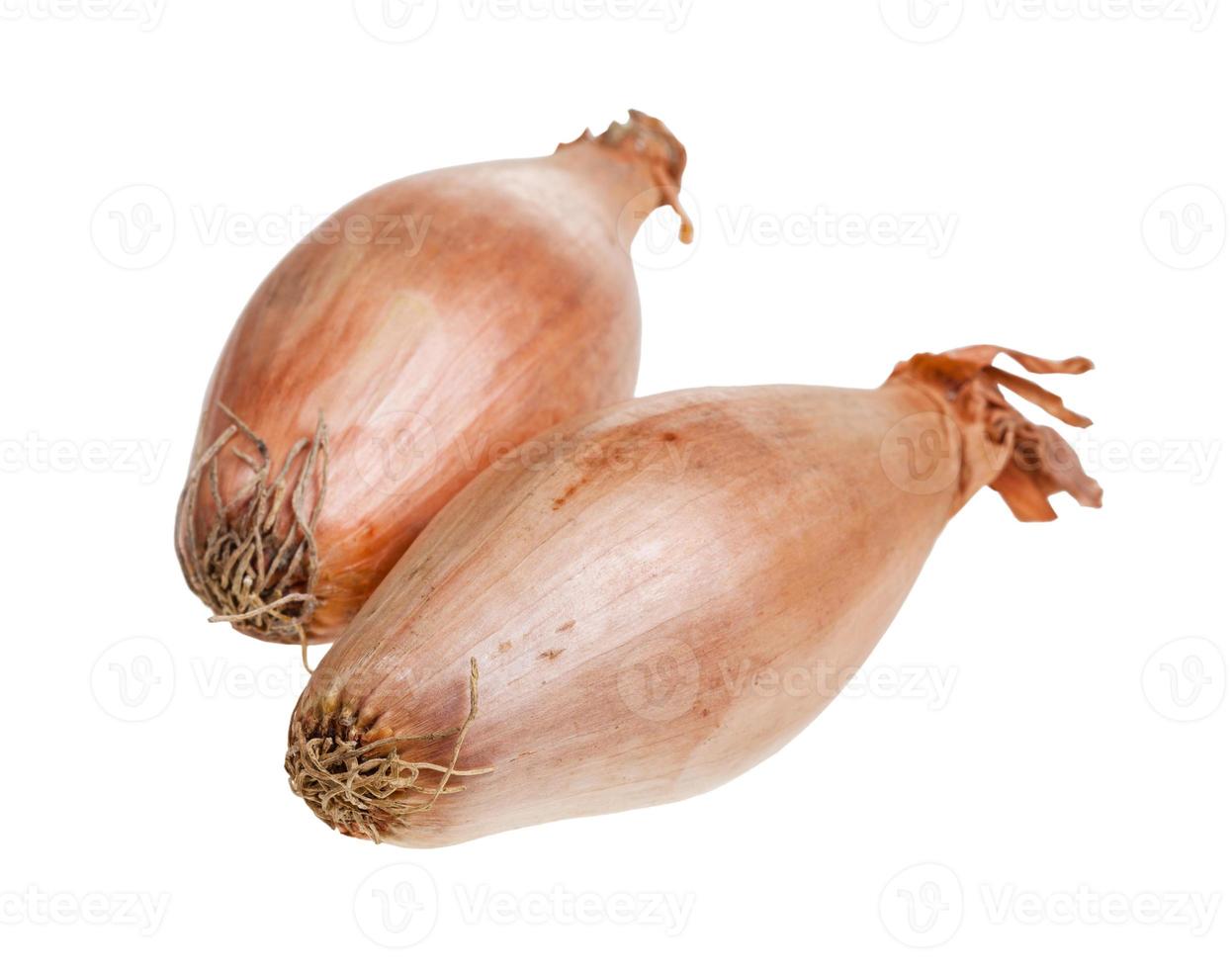 two bulbs of shallot onion close-up isolated photo