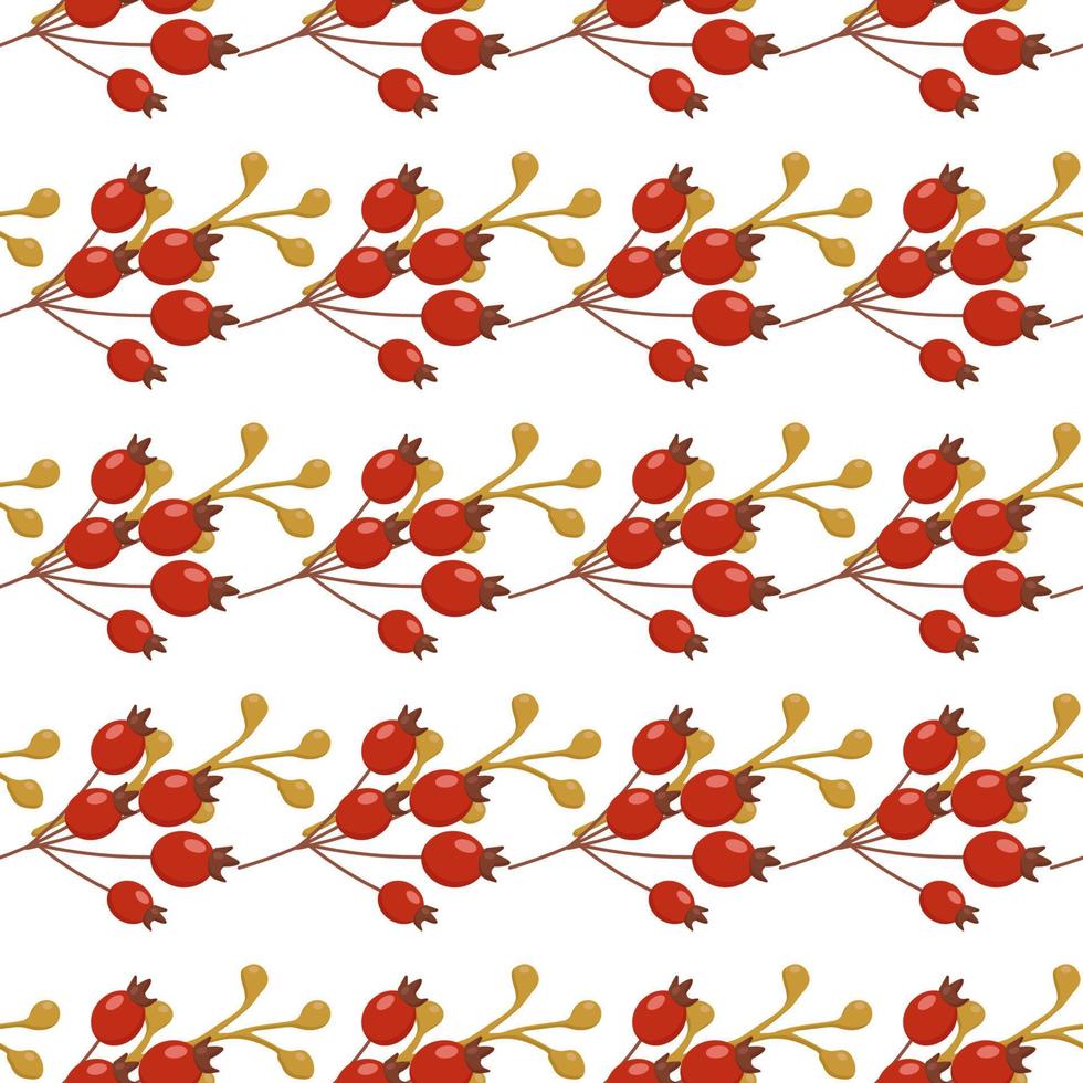 beautiful autumn pattern red rosehip fruits and twigs can be used for posters banners backgrounds vector