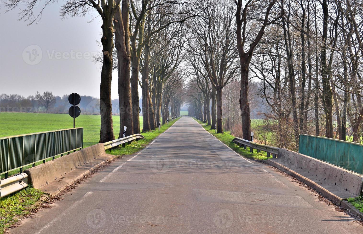 Beautiful view on countryside roads with fields and trees in northern europe photo