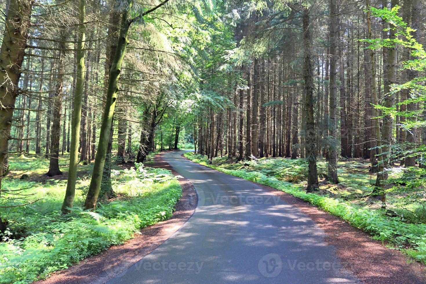 Beautiful view on countryside roads with fields and trees in northern europe photo