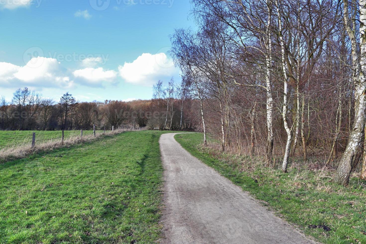Beautiful view on countryside roads with fields and trees in northern europe photo