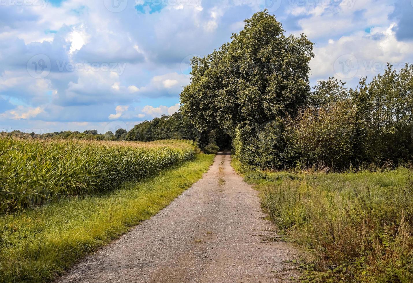 Beautiful view on countryside roads with trees and fields during autumn photo