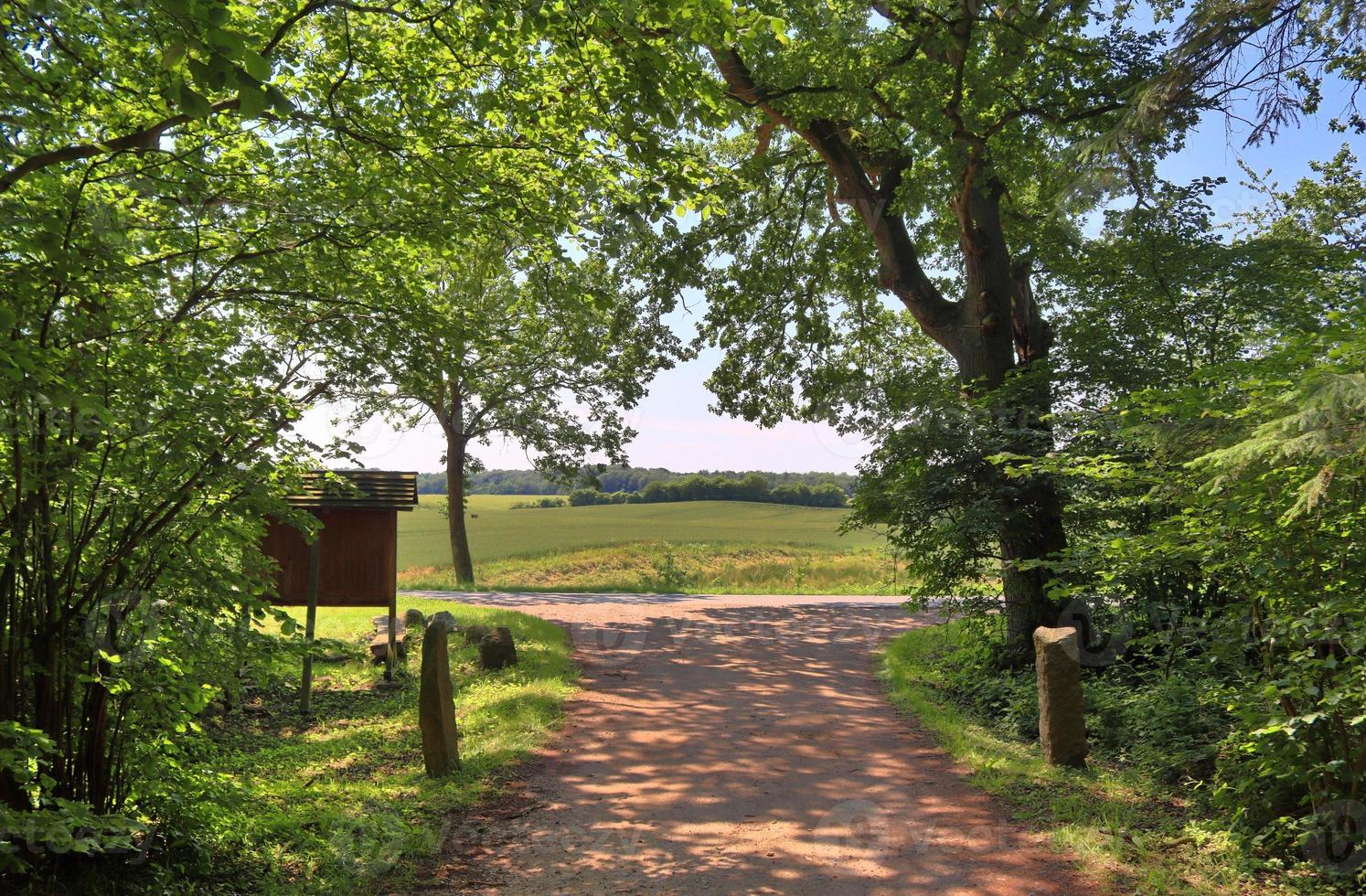 Beautiful view on countryside roads with fields and trees in northern europe photo