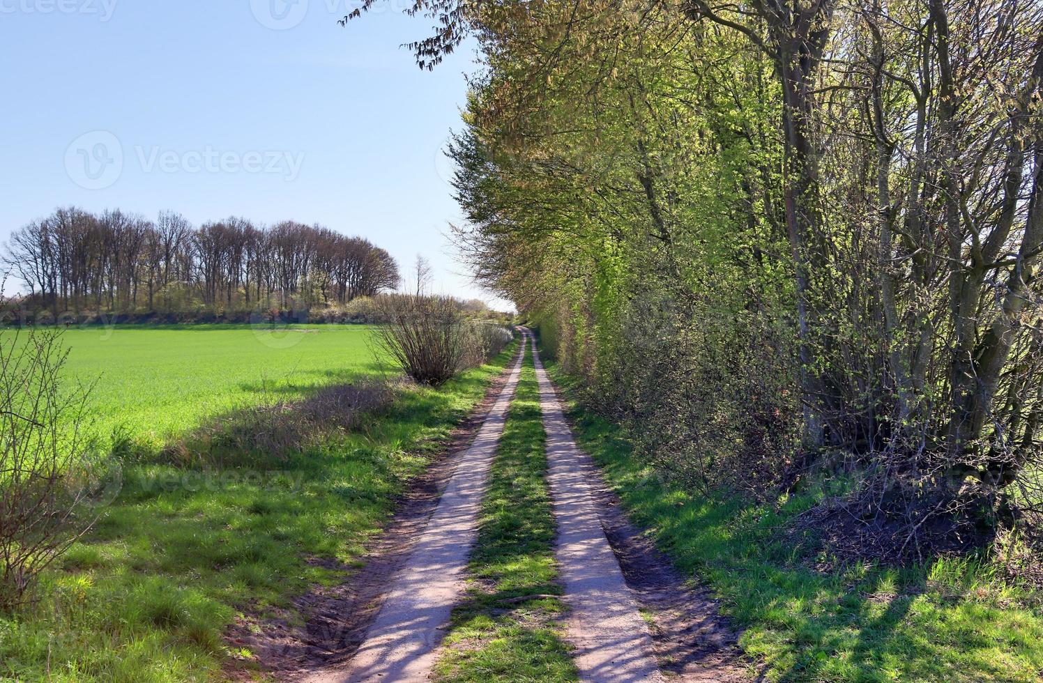 Beautiful view on countryside roads with fields and trees in northern europe photo