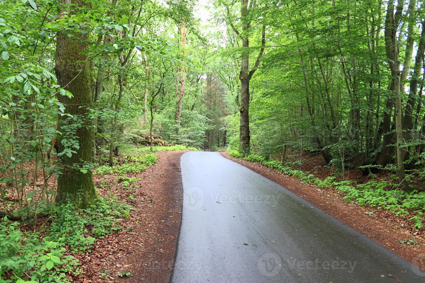 Beautiful view on countryside roads with fields and trees in northern europe photo