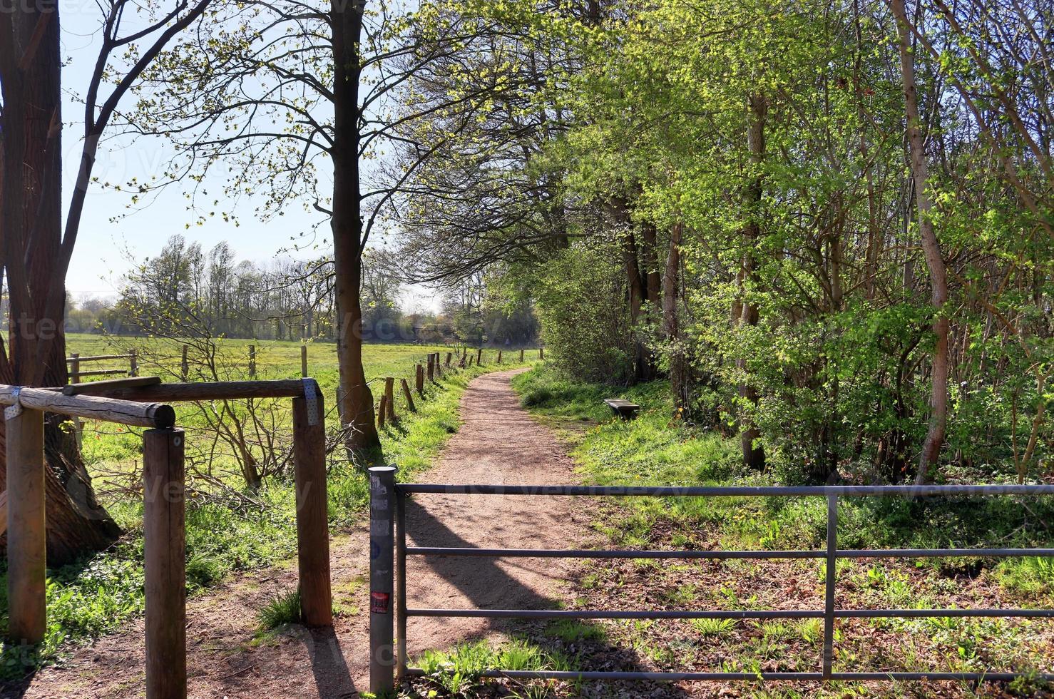 Beautiful view on countryside roads with fields and trees in northern europe photo