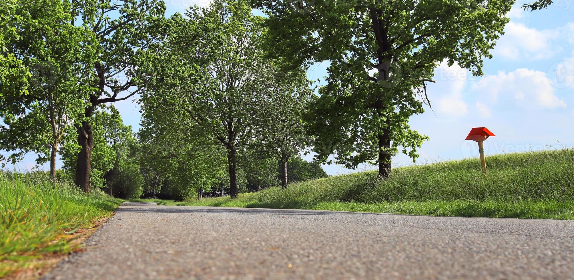 Beautiful view on countryside roads with fields and trees in northern europe photo