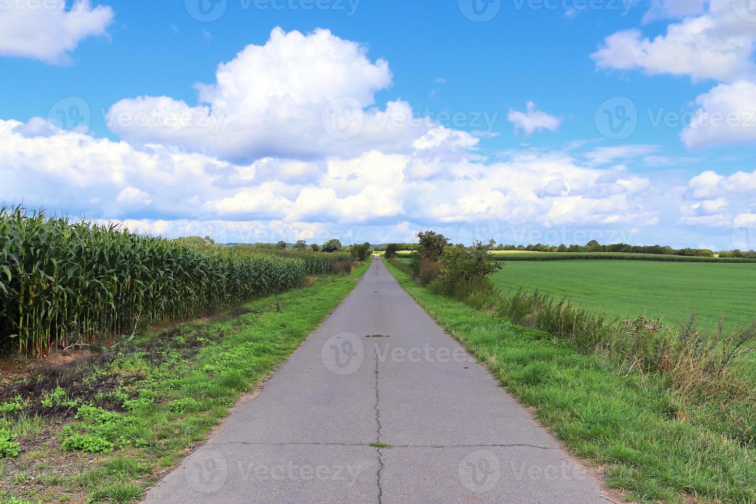 Beautiful view on countryside roads with fields and trees in northern europe photo