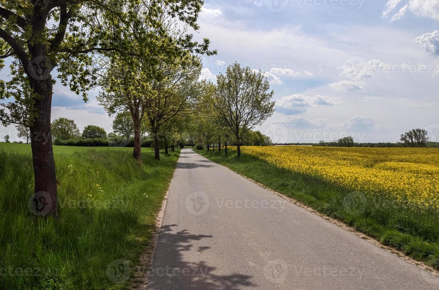 Beautiful view on countryside roads with fields and trees in northern europe photo