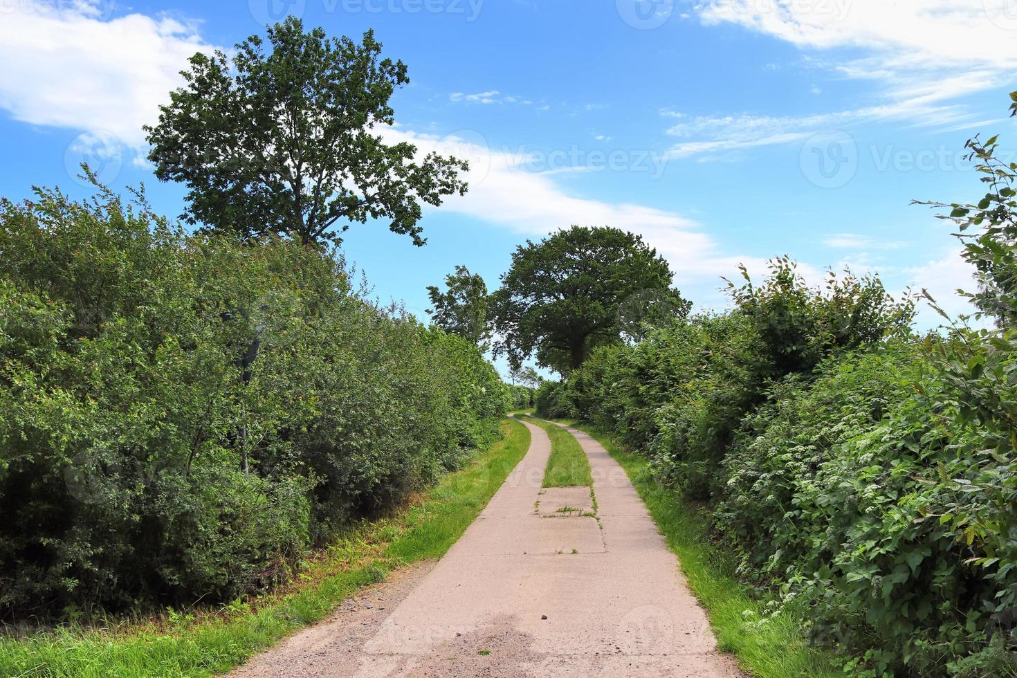 Beautiful view on countryside roads with fields and trees in northern europe photo