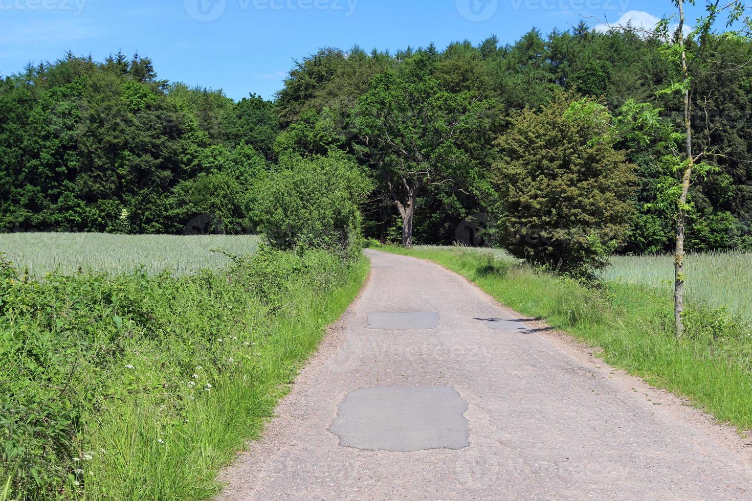 Beautiful view on countryside roads with fields and trees in northern europe photo
