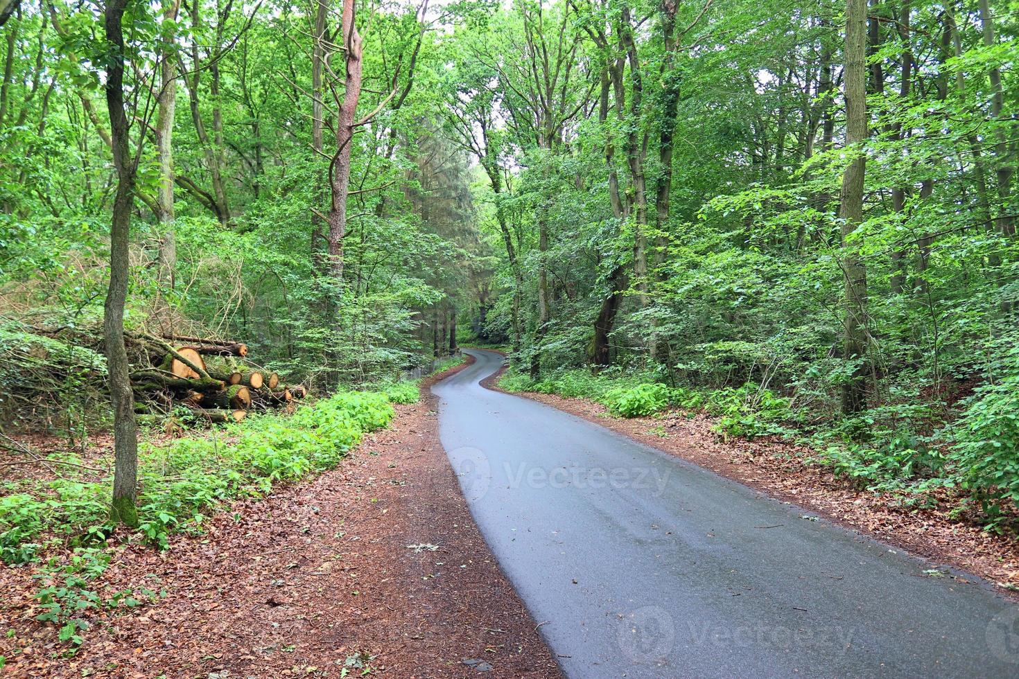 Beautiful view on countryside roads with fields and trees in northern europe photo