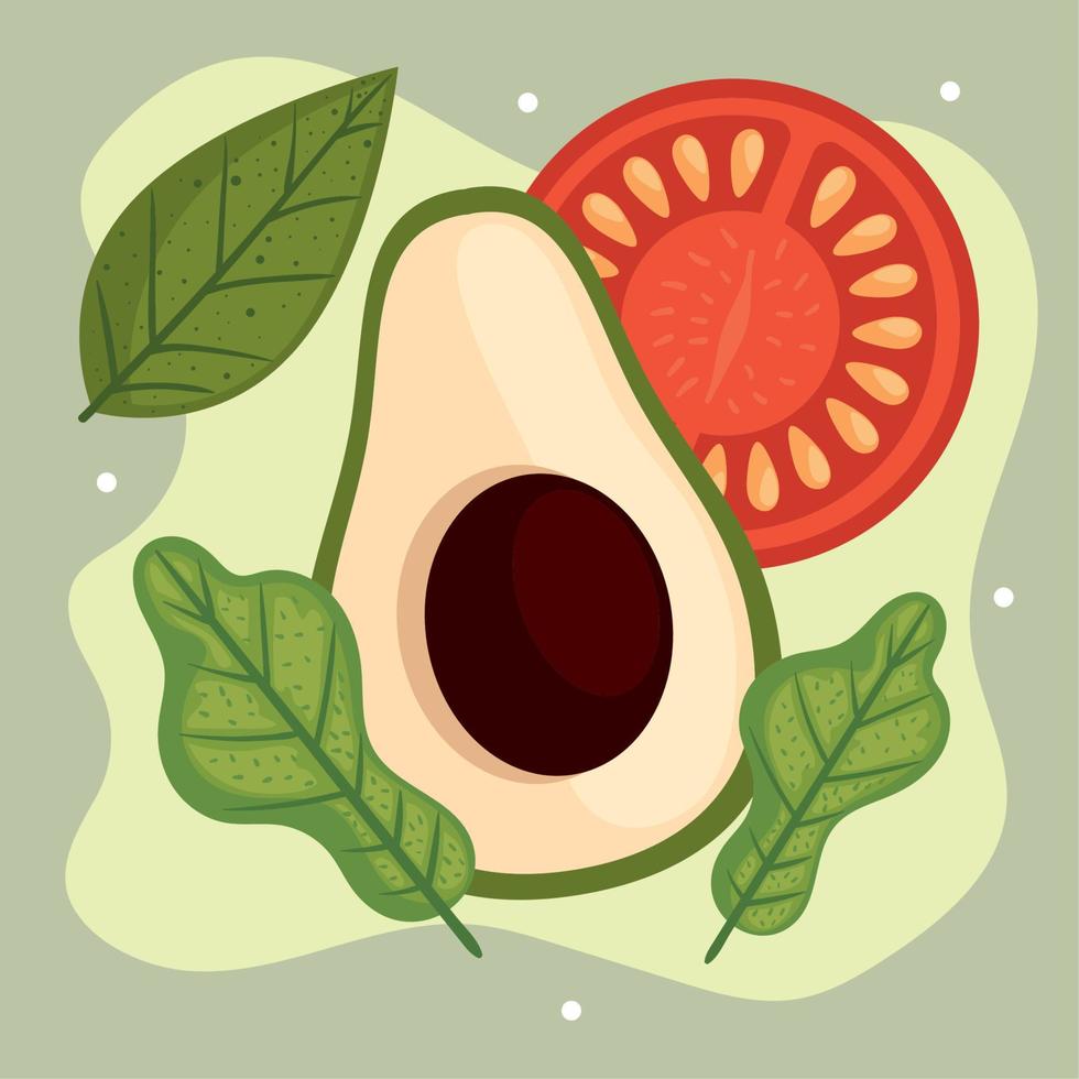 avocado and tomato vector