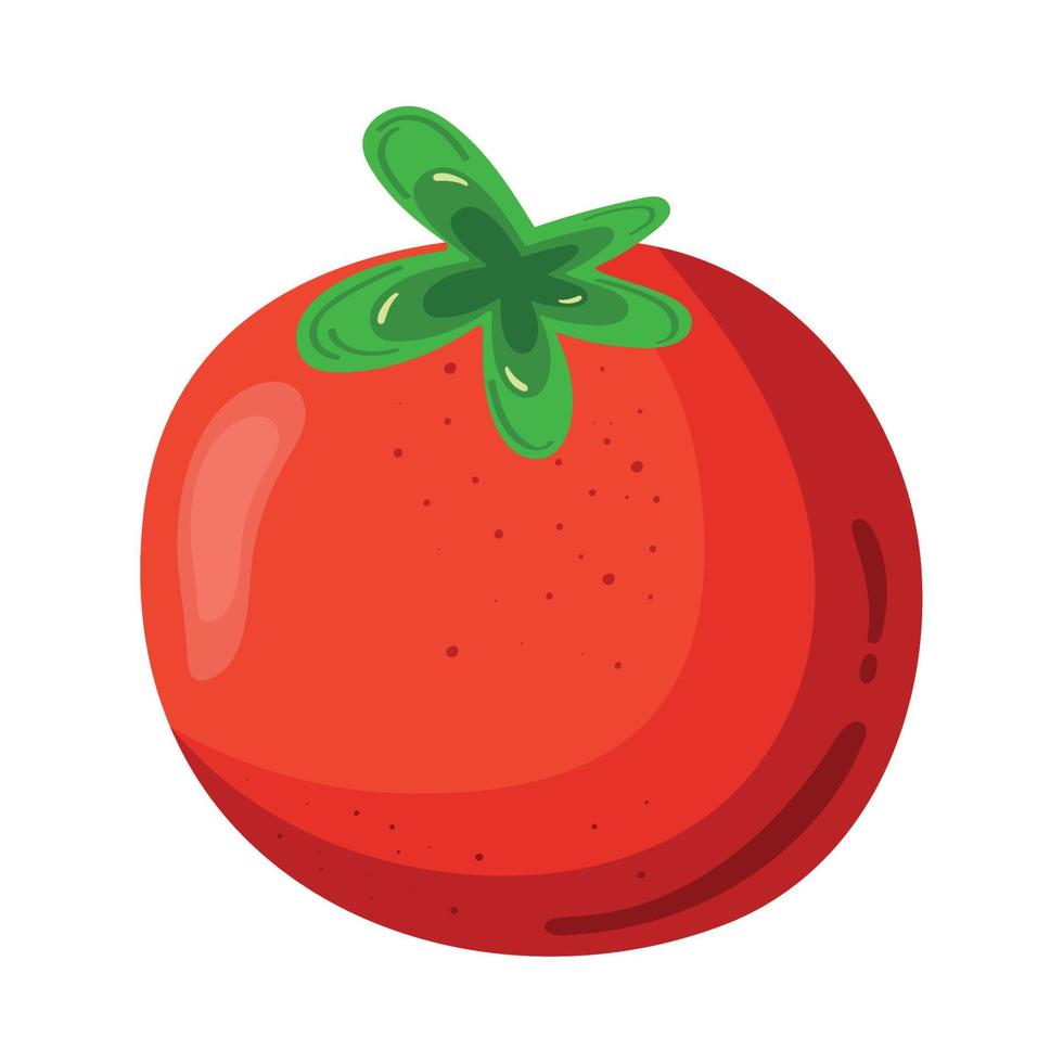 vegetales de tomate fresco vector