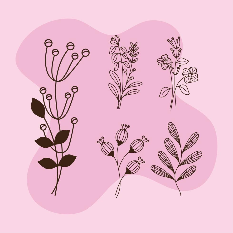 five flowers garden icons vector