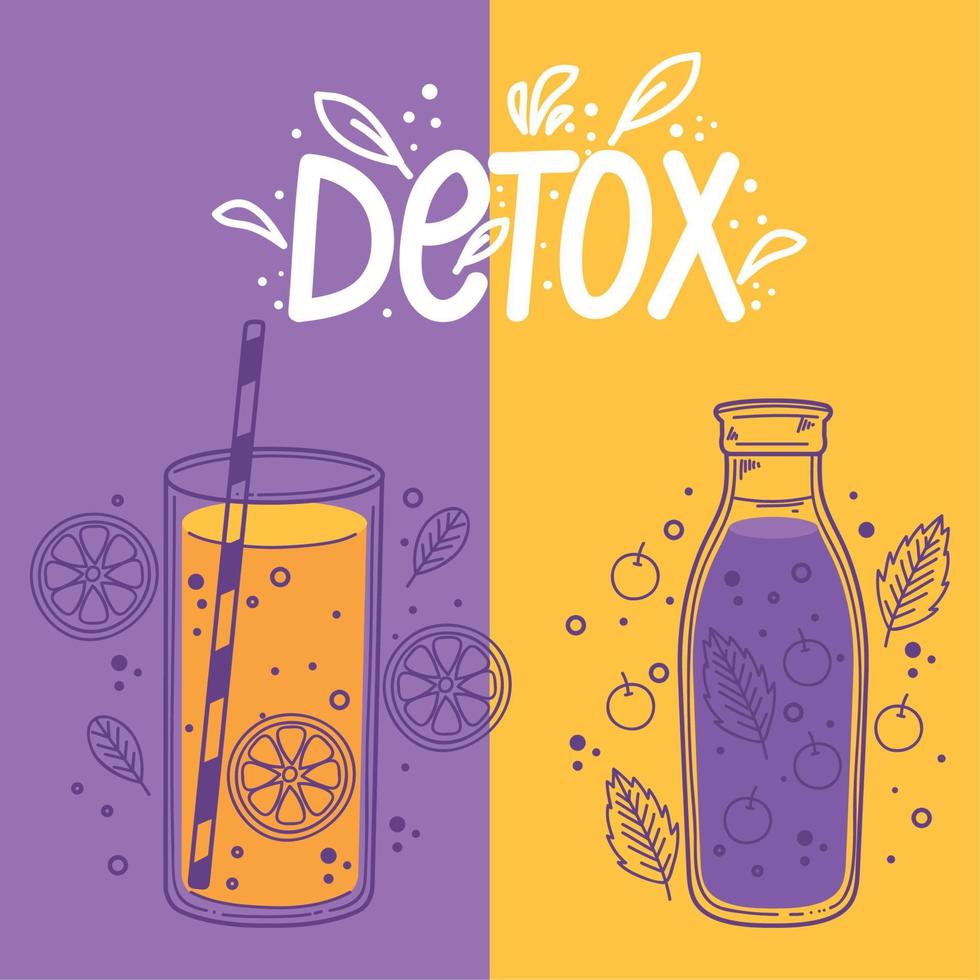 orange and blueberries detox vector