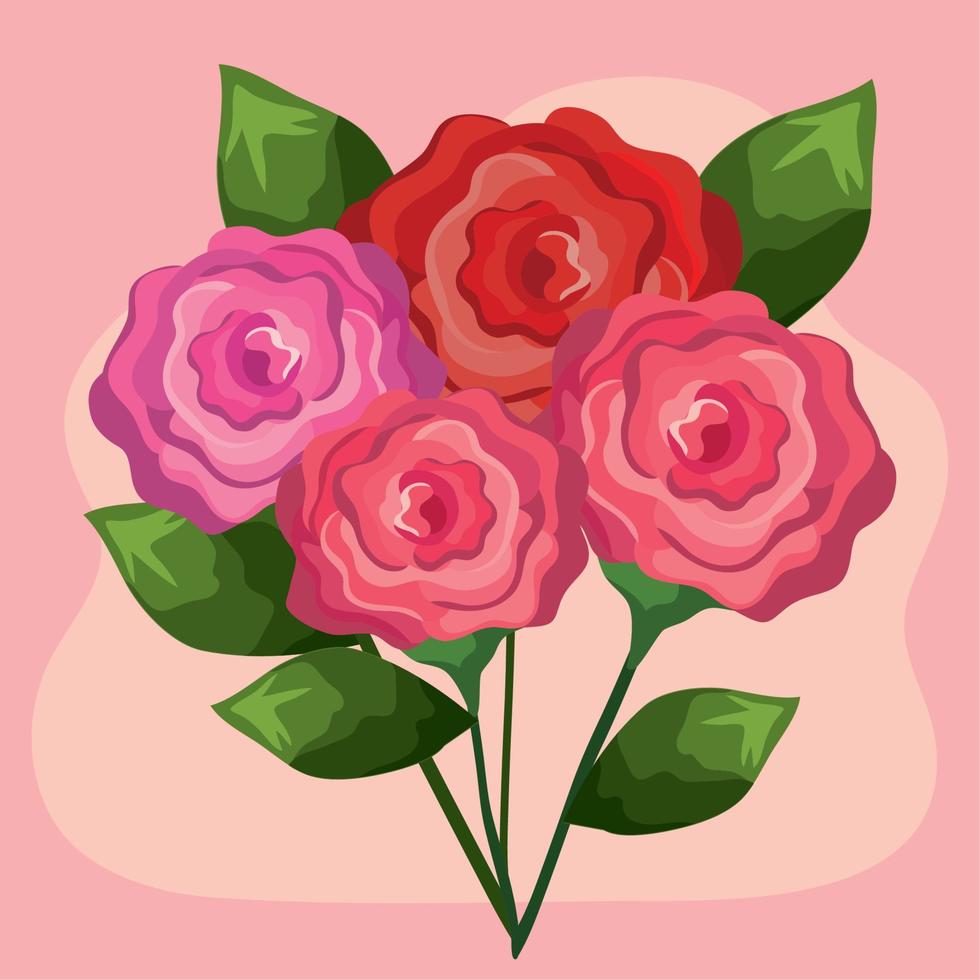 pink and red roses vector