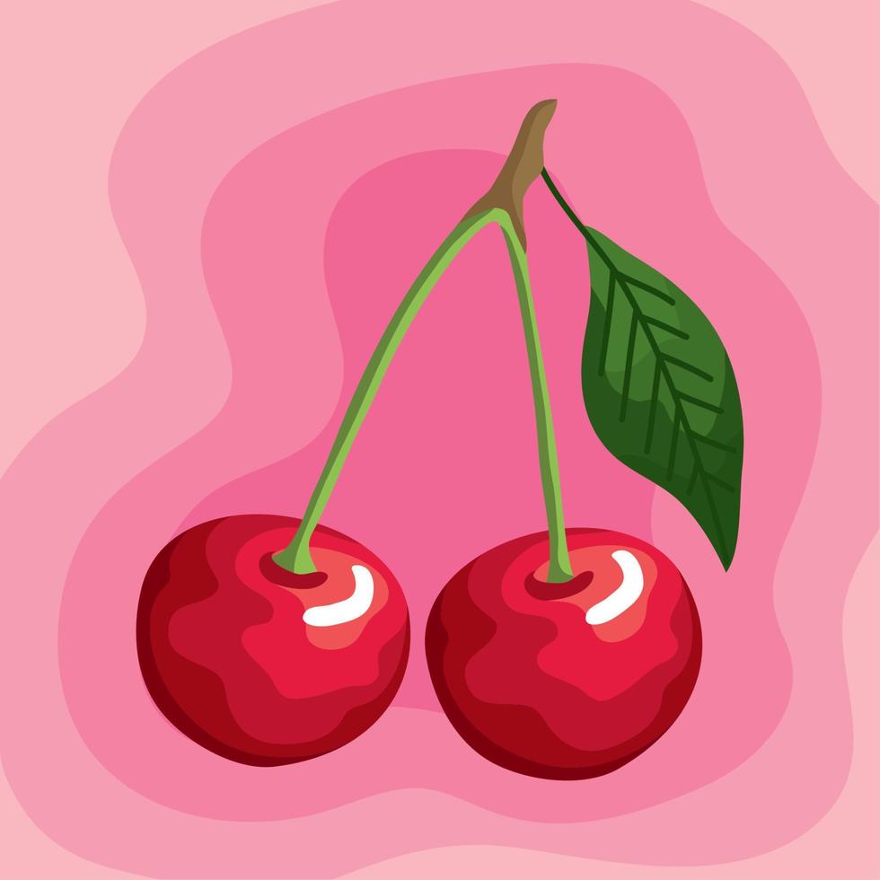 cherries fresh fruit label vector