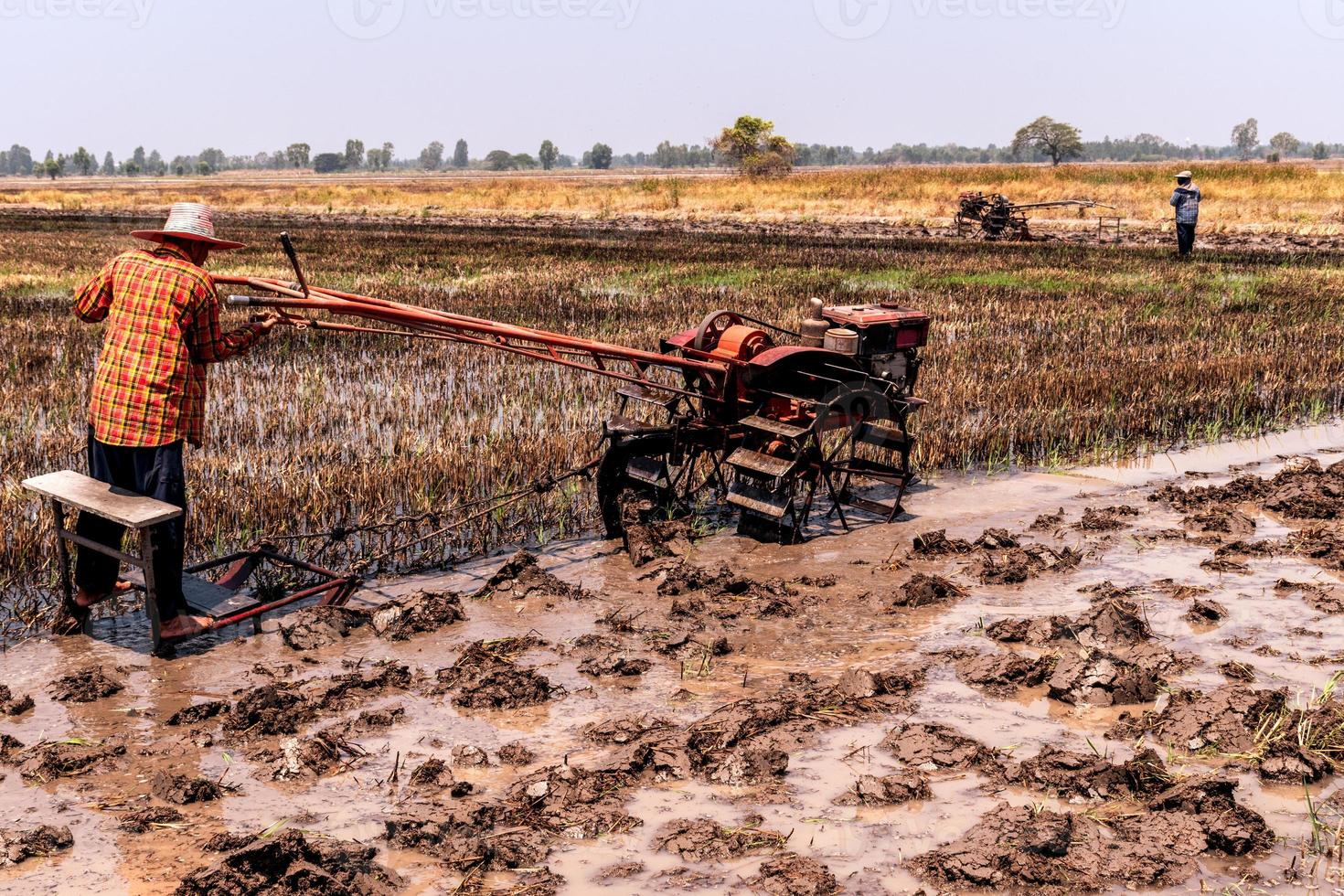 Rice fields that have been harvested and are preparing for the next rice planting photo