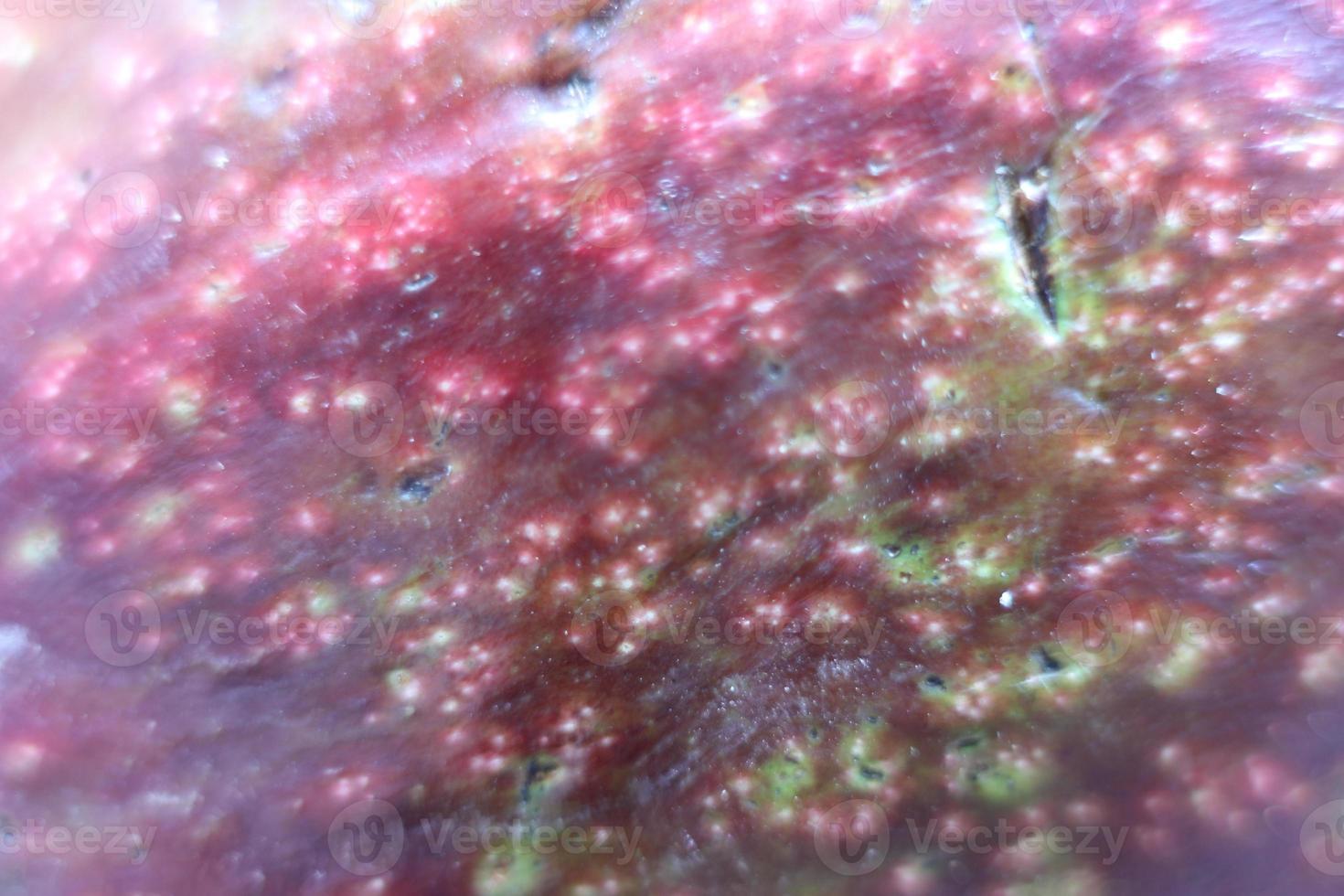 Ripe avacado half close up picture photo